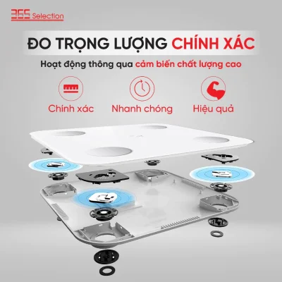 Cân Điện Tử Thông Minh 365 Selection WS2 Chính Hãng - Cân Điện Tử 365 Selection WS2 đo 18 chỉ số cơ thể, độ chính xác 0.1kg, kết nối Bluetooth qua app 365 Life. Thiết kế nhỏ gọn (26x26x2.45cm, 1.1kg), kính cường lực, màn hình LED. Hỗ trợ 10 người dùng, pin AAA dùng 120 ngày. Bảo hành 12 tháng, lý tưởng theo dõi sức khỏe gia đình.