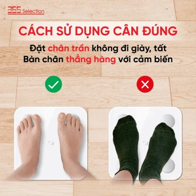 Cân Điện Tử Thông Minh 365 Selection WS2 Chính Hãng - Cân Điện Tử 365 Selection WS2 đo 18 chỉ số cơ thể, độ chính xác 0.1kg, kết nối Bluetooth qua app 365 Life. Thiết kế nhỏ gọn (26x26x2.45cm, 1.1kg), kính cường lực, màn hình LED. Hỗ trợ 10 người dùng, pin AAA dùng 120 ngày. Bảo hành 12 tháng, lý tưởng theo dõi sức khỏe gia đình.