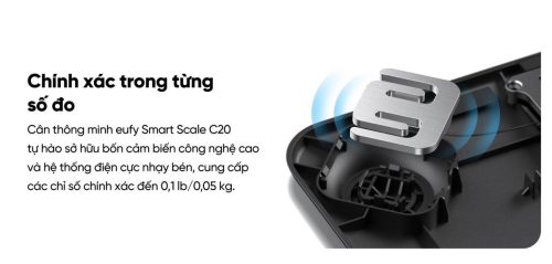 Cân Điện Tử Thông Minh eufy C20 - Hàng Chính Hãng | Phân Tích 16 Chỉ Số Cơ Thể, Kết Nối App EufyLife - Hình ảnh 9