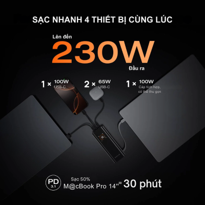 EcoFlow Rapid Pro 230W