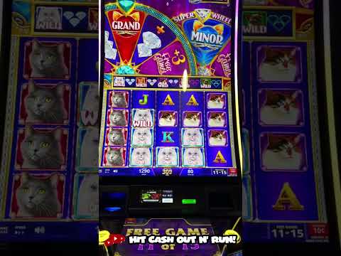 Casino Gransino : guide complet – bonus, inscription, paiements et sécurité -