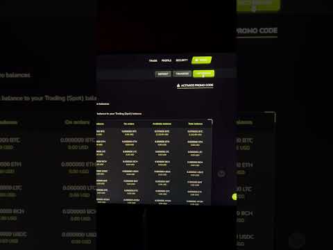 Rain Bet – aperçu complet et options pour les joueurs français -